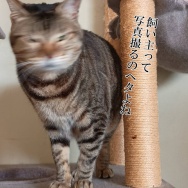 目が開かない。と、２０ルピーつくりました。