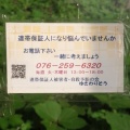 ゆきわりそう