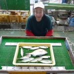 海山フィッシングセンター