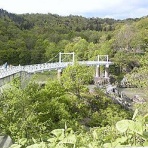 日々の気づき