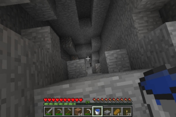 羽虫がマインクラフト