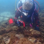 新宿地元密着、少人数制ダイビングスクールで、初めて未経験者向けダイビングライセンスを取得