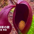 2026.3月ライブのお知らせ