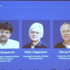 2026年ノーベル生理学・医学賞 「光遺伝学」の基礎研究 脳の病解明に希望