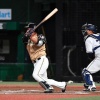 中畑清「日本ハムの樋口は実戦向きで使いたくなる選手。見逃せない選手の一人になった」