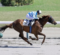 5月の優勝馬🏆 part2