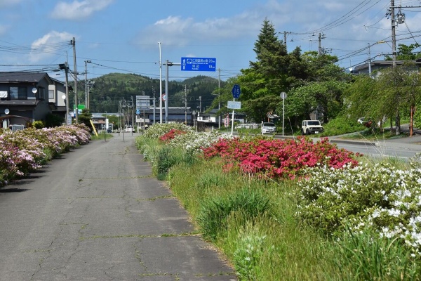僕の歩く町3