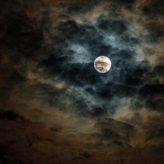 サラリーマンが株式投資でセミリタイアを目指してみました。