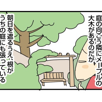 狭い庭に植えてはいけない植物