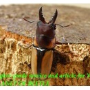 〇14日まで！割引クーポン＼(^o^)／