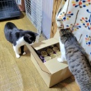 🎄11月のご支援ありがとうございました🧑‍🎄