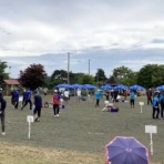 カツオのペタンク日記