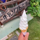 🐻くまどんソフト🍦  ＾o＾♪   