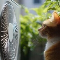 日本の暑さは世界と比べて｜年金生活 7月の生活費 2026