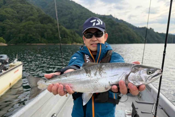 ORA Minnow Serendipity