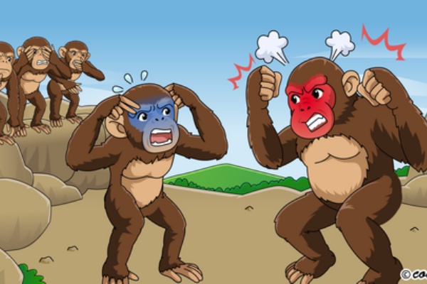 猿のイラスト 猿の顔のイラスト テレビ番組イラスト 似顔絵制作ブログ