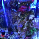 ライブロック投入で立て直し