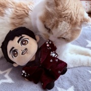 ドウデュースのぬいぐるみよりも猫が気になったもの