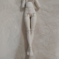 仮組みしました