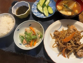 古着で猫助けと断捨離＆ゴボウと豚肉のガ－リック味噌炒め