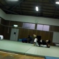 のん@柔術クラブZ/8月1日/大畠中学校練習/ブラジリアン柔術/山口県柔術/bjj/山口県格闘技