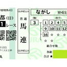 【今日の狙い】2025/11/16（日）京都11Rエリザベス女王杯G1　☆3番シンリョクカ・持続力勝負向き！