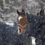 『高齢』の画像
