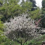 ＪＩＬＬ＠の熱血クライミング・ダイアリー