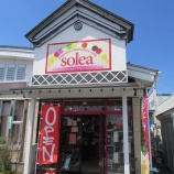 『Soleaさんのジェラートが食べたくて』の画像