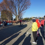 埼玉県ペタンク・ブール連盟