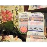 ־Ѥι費סι͡ ҤòιǤϿ