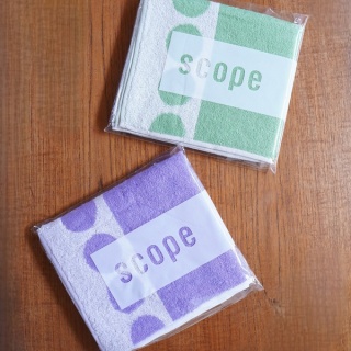 10年後も好きな家　家時間が好きになる「家事貯金」＆北欧インテリア