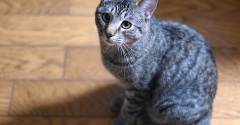 みずちゃんの未来８