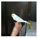 書道教室忘年会