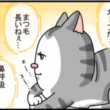 まめきちまめこニートの日常 Powered by ライブドアブログ