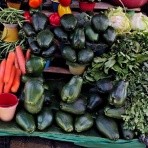 からすが夢を見るころに