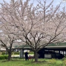 2026.4/6（月）の夕ご飯です