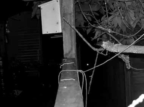 通路にロープが絡まっていた。これは邪魔だなぁ → 気づいた彼女はこうします…