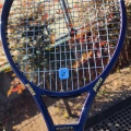 やっぱりグラファイト🎾