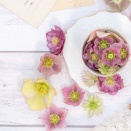 カードを不正使用される（４）