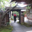 2025年　京都の旅　その４　黄梅院