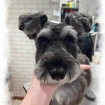 ペットショップ ワンラブ Coaska Bayside横須賀店のスタッフブログ