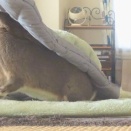 決まりは守らないと