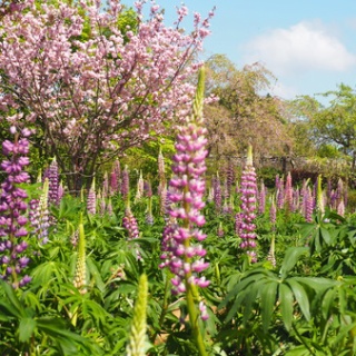 長崎＠諫早市民 ふくちゃんの食う・寝る・遊ぶ日記