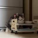 【3681】