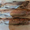 2026年3月19日(木)朝霞ガーデン