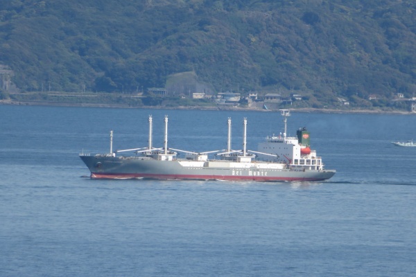 船舶の記録 冷凍貨物船