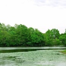 新中一の方の入会は当面困難