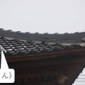 左縄（ひだりなわ）と左瓦（ひだりがわら）　2/2