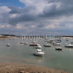 パリ生活社ミルクとマカロン2